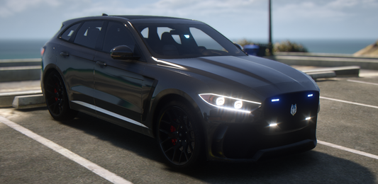 Ocelot Seeker Unmarked ELS